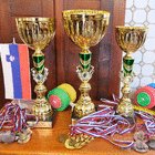 10-pokali-in-medalje-osrednja-regija_sqthb140x140.jpeg